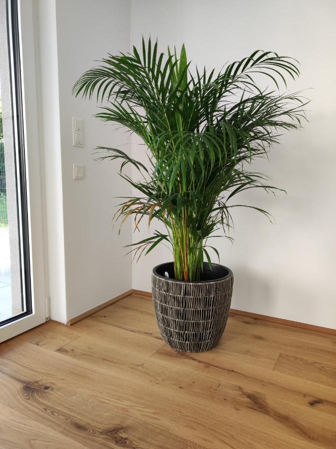 Apartment Roksox-home Gegenueber Der Uno-city Und Kaiserwasser Wien